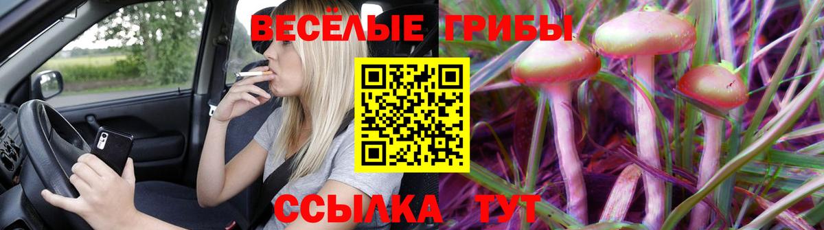 Псилоцибиновые грибы Magic Shrooms  Вход с VPN  Нерюнгри  Галлюциногенные грибы Psilocybe 
