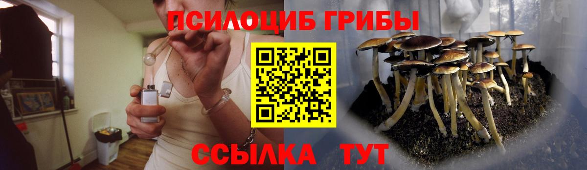 Псилоцибиновые грибы Cubensis Нерюнгри